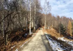 L’idea è far diventare la strada una pista ciclopedonale di alta quota, con giornate riservate esclusivamente a escursionisti e biciclette, regolamentata e con accessi a pagamento per i mezzi motorizzati, come l'Alta Via del Sale Limone-Monesi